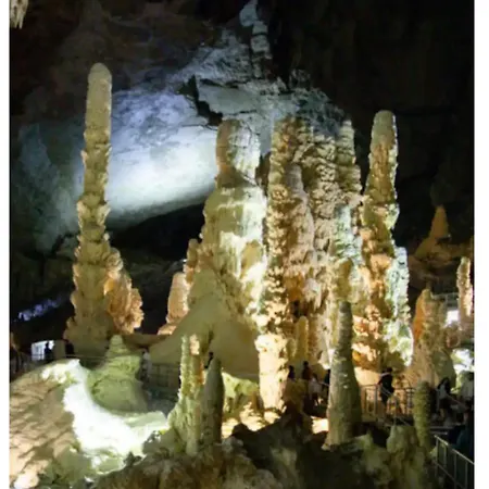 公寓 L'albero Delle Noci *