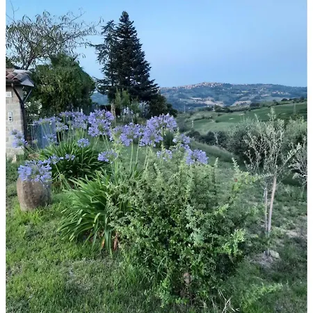 L'albero Delle Noci Διαμέρισμα Serra San Quirico